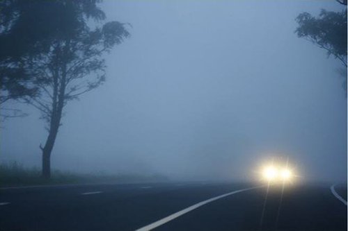 Туман в дороге резко снижает видимость