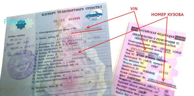 Где в ПТС указан номер кузова автомобиля: эти факты поразят вас