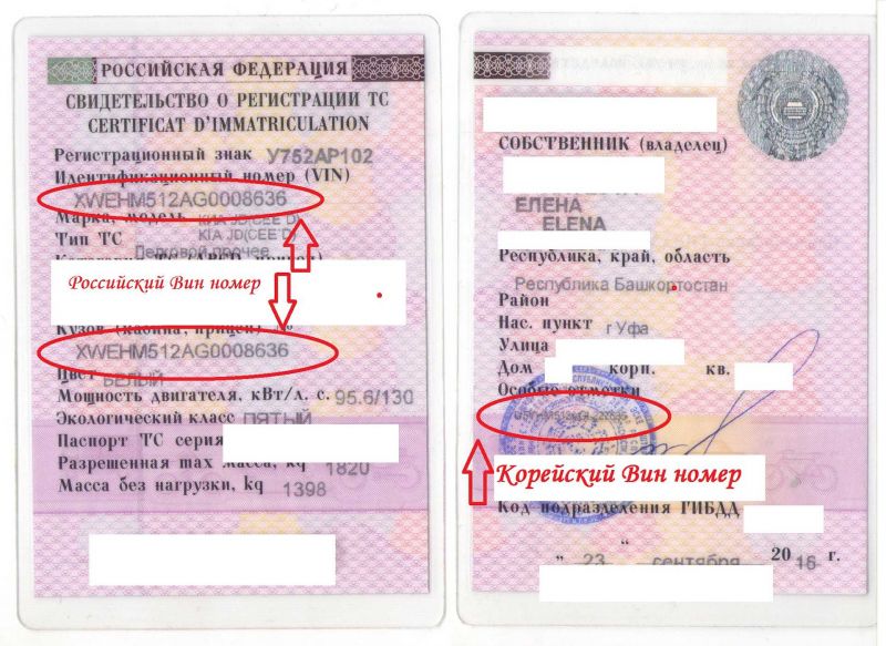 Где в ПТС указан номер кузова автомобиля: эти факты поразят вас