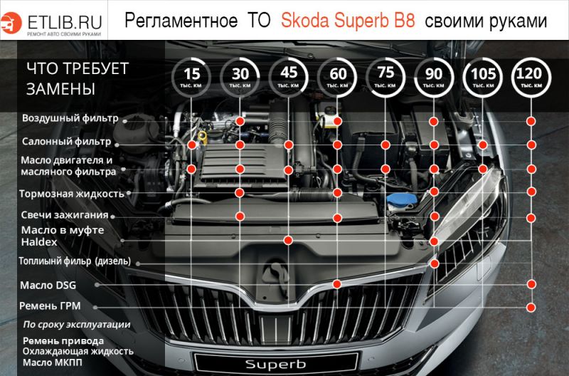 Имеет ли Skoda Octavia RS 2023 достойные технические характеристики: проверяем детали
