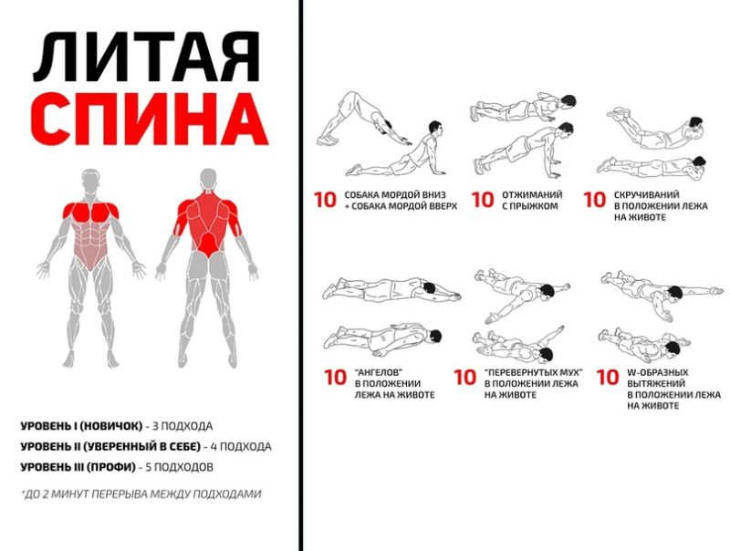 Как использовать джоггер jog rr для ЗДОРОВЬЯ каждый день: Откроем секреты эффективных тренировок