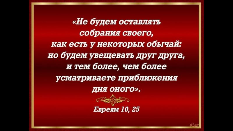 Как компания LEXUS сохранила свою историю и традиции, но идет в ногу со временем