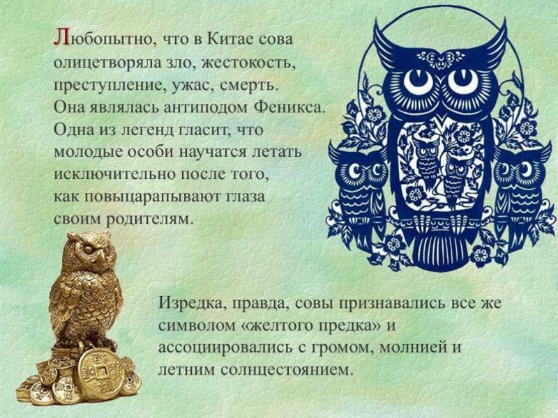 Как лучше разобрать символику знака уаз: три мудрые совы для силы, скорости и внимательности
