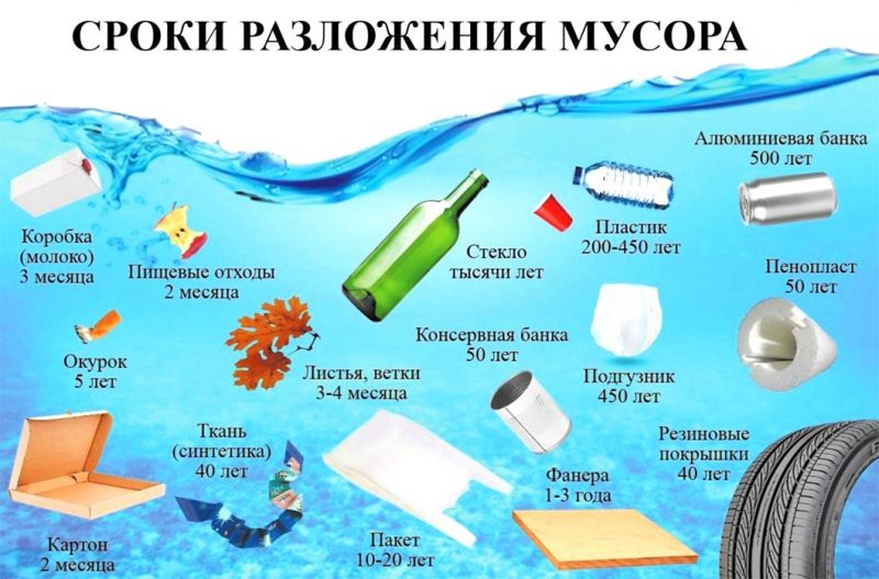 Сомнительное наследство: как долго разлагается бытовой мусор