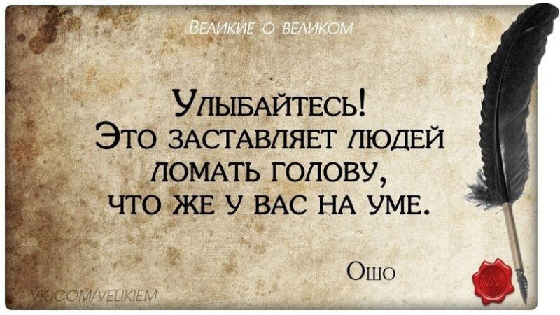 Как отремонтировать свою Honda Accord самостоятельно: требуется лишь терпение и упорство