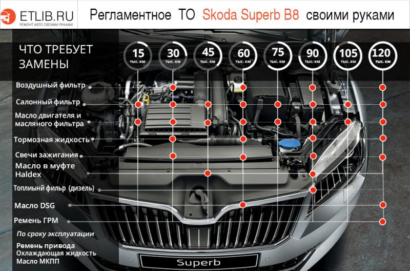 Как подобрать идеальный масляный фильтр для Skoda Octavia A5: подробно и понятно