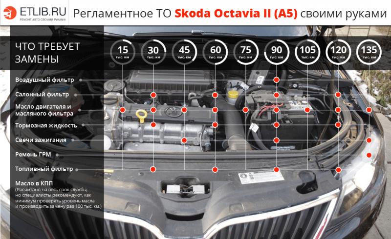 Как подобрать идеальный масляный фильтр для Skoda Octavia A5: подробно и понятно