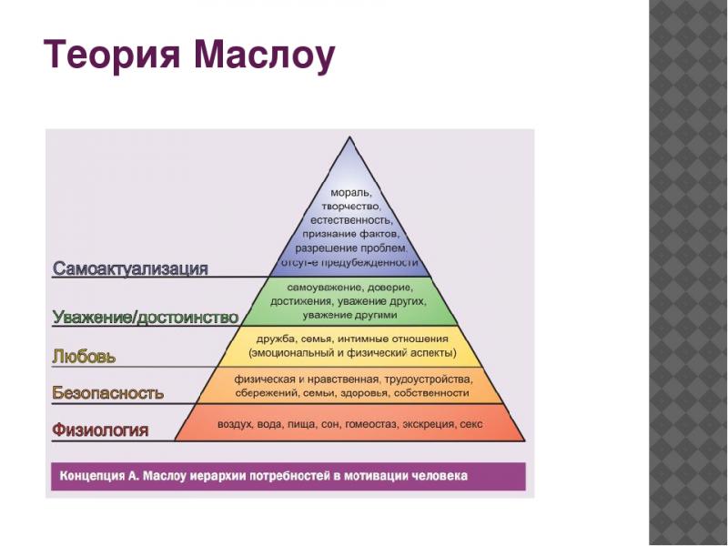 Как подобрать инструмент HANS, который удовлетворит потребности и не разочарует