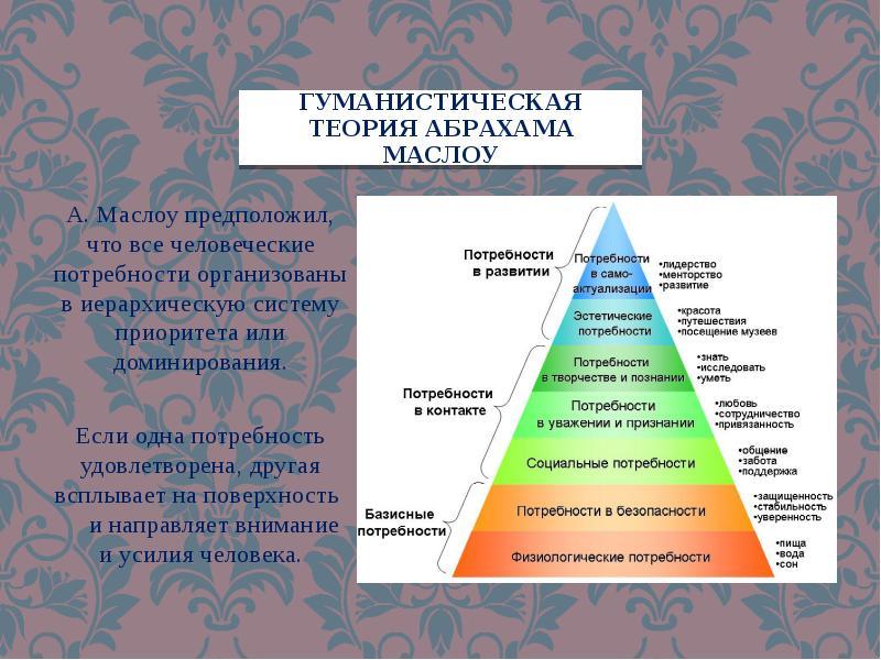 Как подобрать инструмент HANS, который удовлетворит потребности и не разочарует