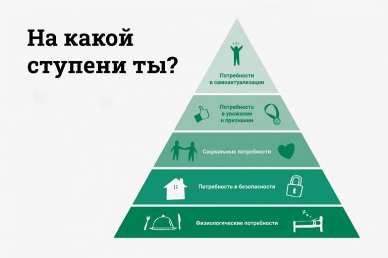 Как подобрать инструмент HANS, который удовлетворит потребности и не разочарует