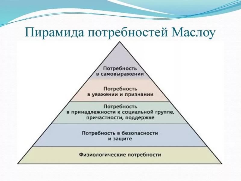 Как подобрать инструмент HANS, который удовлетворит потребности и не разочарует