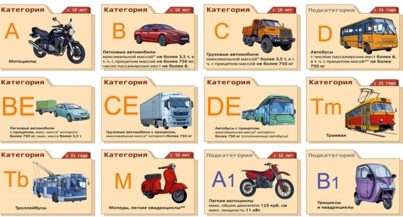 Как получить права категории D без стресса и лишних затрат
