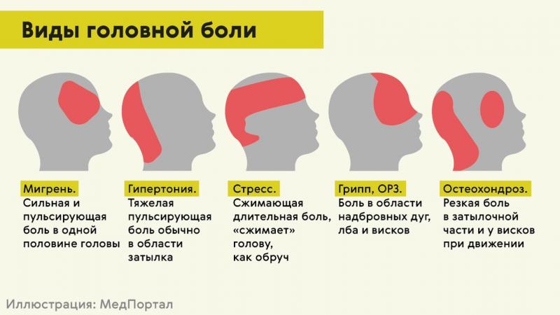 Как получить права в Крыму без лишней головной боли: план действий