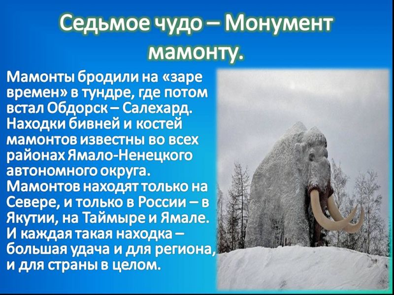 Как понять, что вы находитесь в 89-м регионе России: 10 интересных фактов о Ямало-Ненецком автономном округе