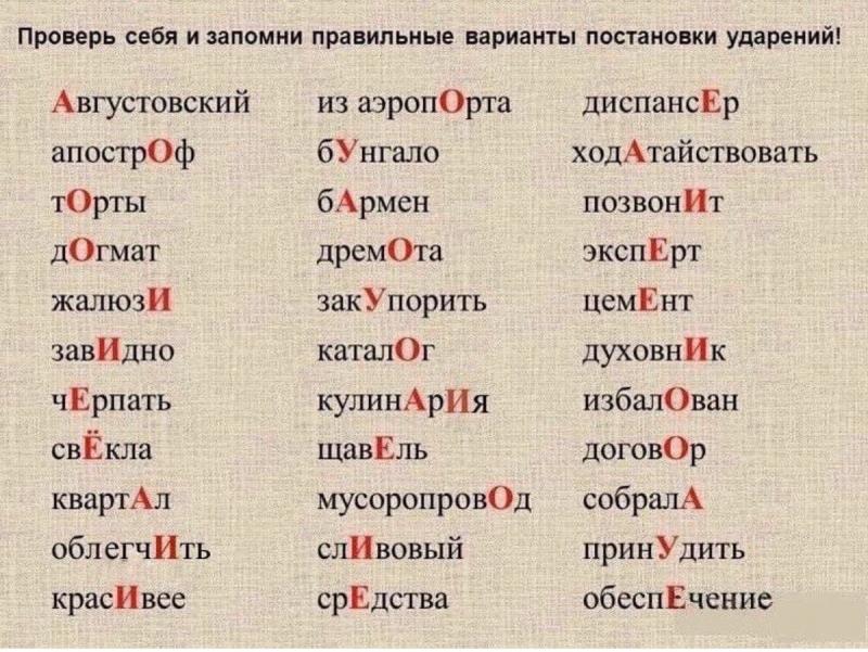Как правильно произносится "порше": подробно о произношении и ударении в фамилии Porsche