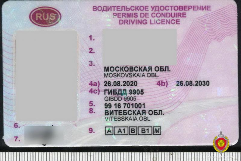 Как проверить водительское удостоверение в Беларуси: 15 пунктов для владельцев транспортных средств