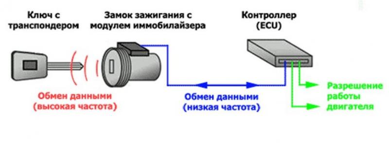 Как работает электронный иммобилайзер в автомобиле, и зачем он нужен: тайна раскрыта