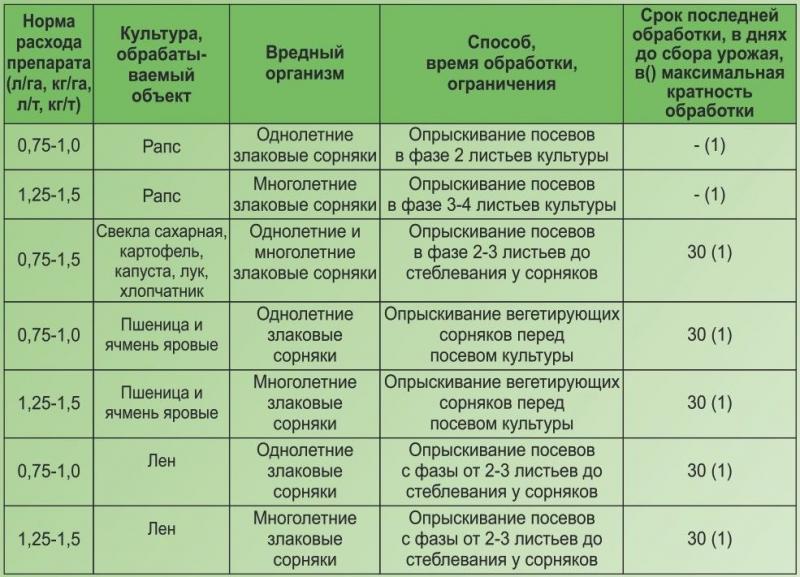 Как сделать цитроен БХ 19 долговечным без лишних затрат. Эффективные советы по уходу