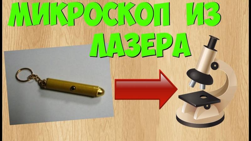 Как сделать микроскоп из телефона: 15 увлекательных способов