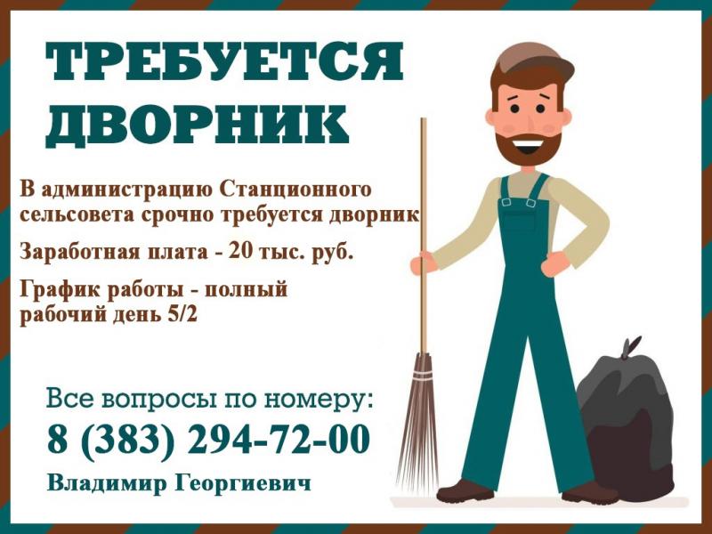 Как сделать работу дворника легче: 15 советов