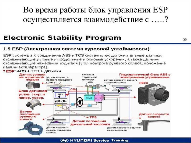 Как система ESP обеспечивает устойчивость автомобиля на дороге: разбор принципа работы