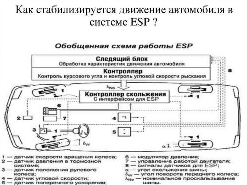 Как система ESP обеспечивает устойчивость автомобиля на дороге: разбор принципа работы