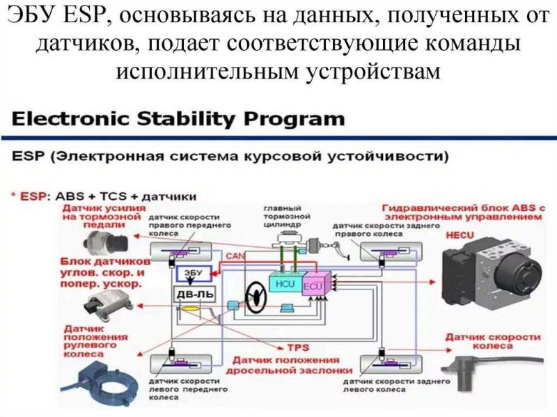 Как система ESP обеспечивает устойчивость автомобиля на дороге: разбор принципа работы