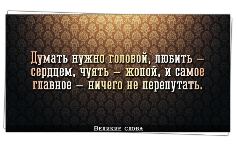 Как Transit поможет в делах, если присмотреться к нему поближе