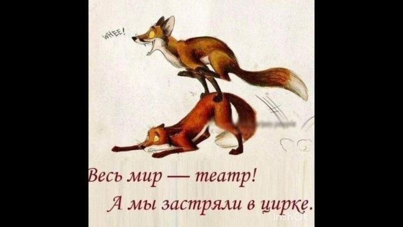 Как удивить своих друзей за 15 минут: не ожидали ведь такого удовольствия