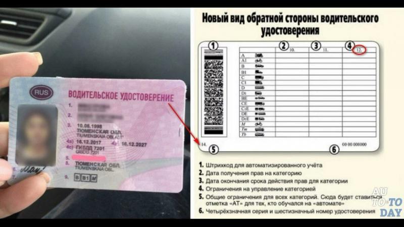 Как узнать, что скрывают водительские права рб: секреты автолицензии