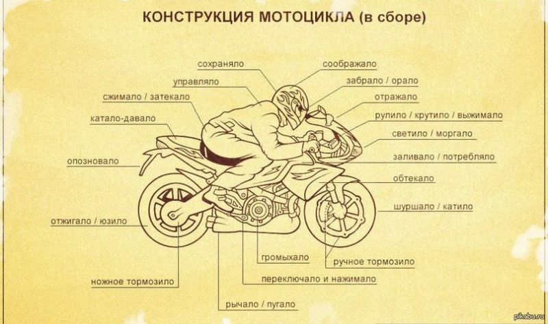 Как внешняя форма мотоцикла Хорс повлияет на ваше восприятие. Вы разберетесь в отличиях Альфы и ХL