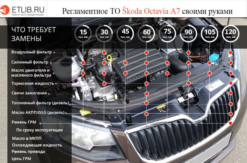 Как выбрать идеальную Skoda 100 теперь. Скрытые секреты выживания ищущих авто