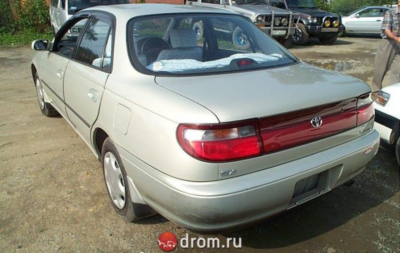 Как выбрать идеальную Toyota Carina 1996 года выпуска: ответы на вопросы о Carina 1996 внутри