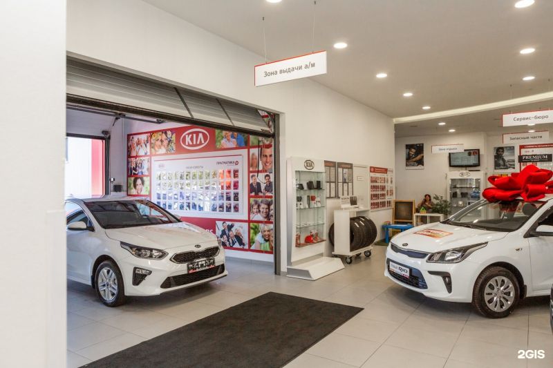 Как выбрать идеальный автомобиль Kia в салоне "Прагматика" в Купчино: 15 советов для покупки с умом