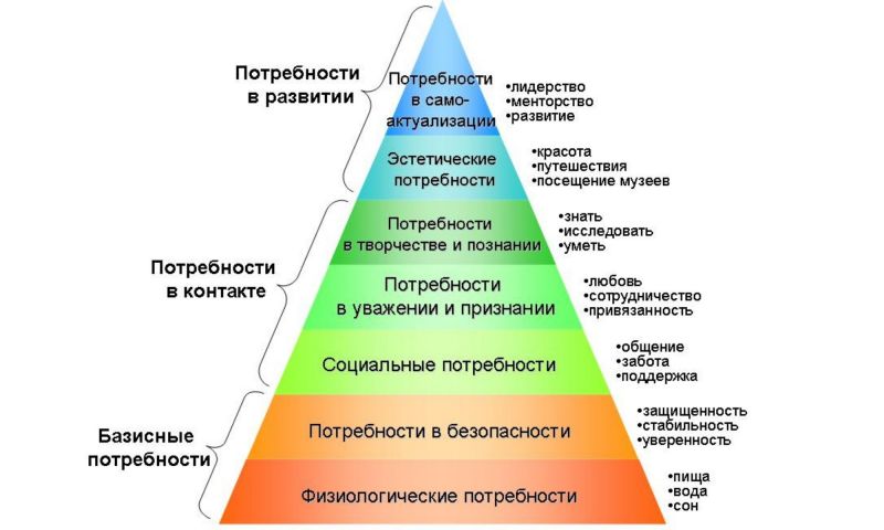 Как выбрать идеальный автомобиль с учетом потребностей: полезные советы
