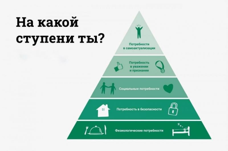 Как выбрать идеальный автомобиль с учетом потребностей: полезные советы