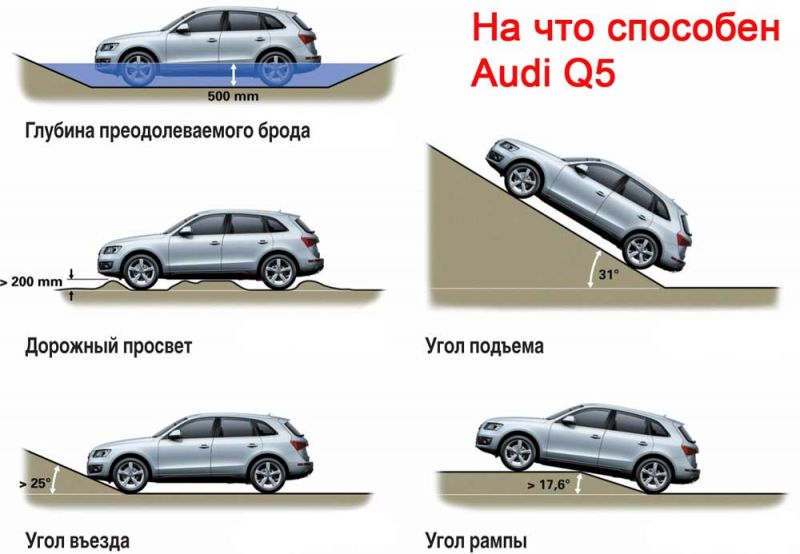 Как выбрать идеальный Ford Focus: технические нюансы выбора мощности, габаритов и просвета