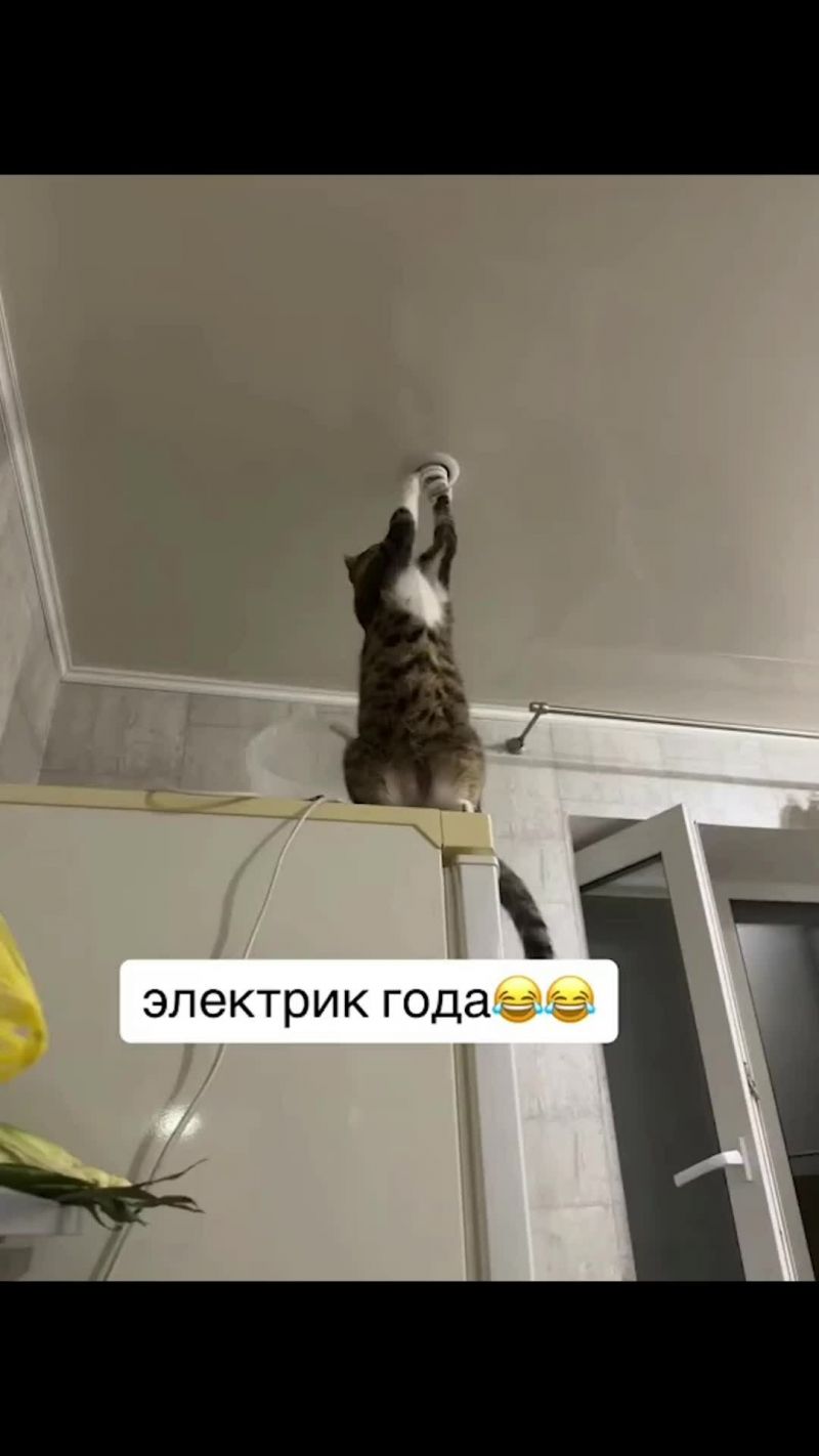 Как выбрать идеальный кроссовер в 2023 году: плюсы, минусы и секретные советы