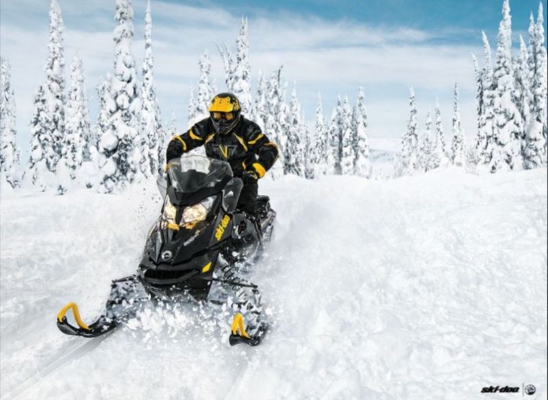 Как выбрать идеальный квадроцикл Arctic Cat для экстремального внедорожного катания: советы бывалых водителей