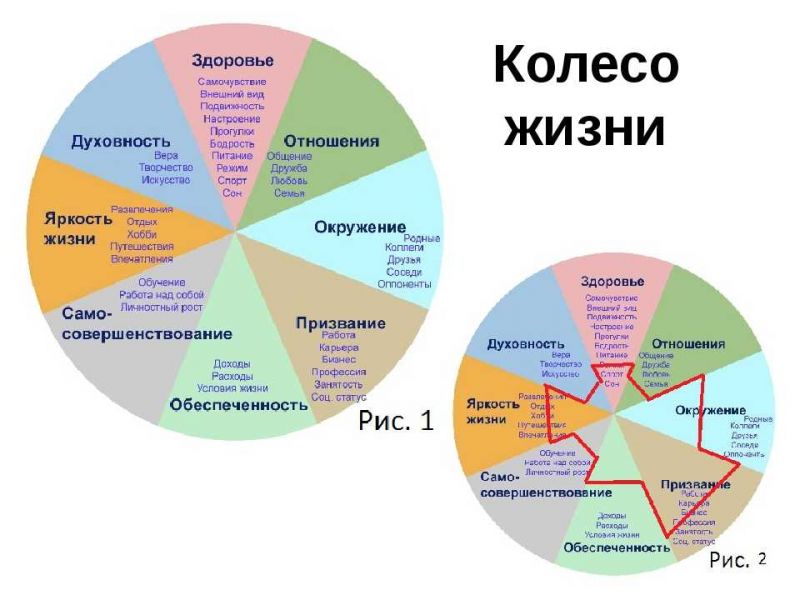 Как выбрать идеальный вид нового мультивен для себя: 15 способов не прогадать с покупкой