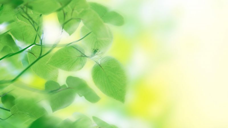 Как выбрать клубный дом, чтобы почувствовать себя по-настоящему свободным