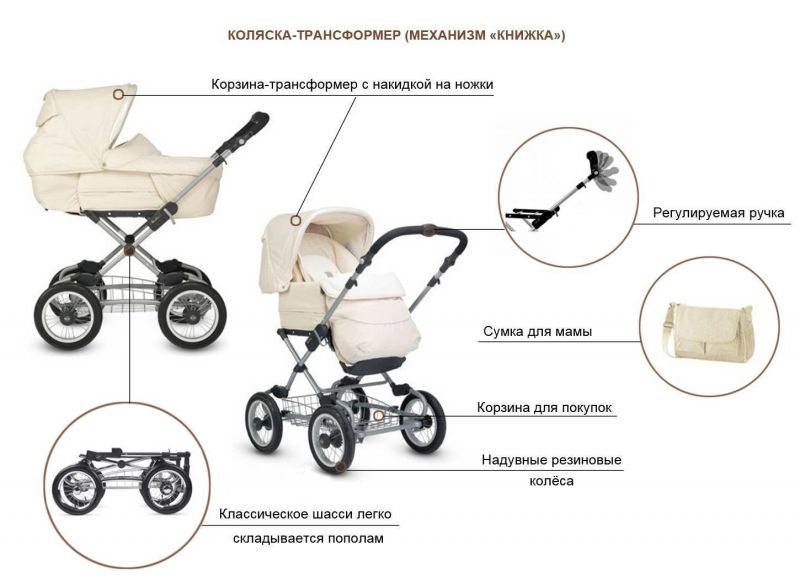 Как выбрать коляску Hors Alpha XL: впечатляющие возможности новой модели