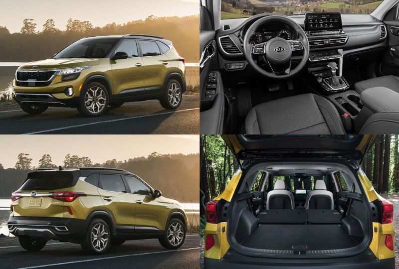 Как выбрать кроссовер Kia Seltos или Kia Sportage 2023: самое главное о технических характеристиках