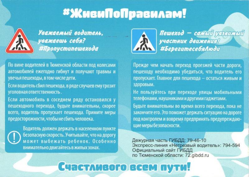 Какой контент в статье о правилах дорожного движения в Беларуси действительно поможет водителю: узнайте в 15 пунктах без лишних слов
