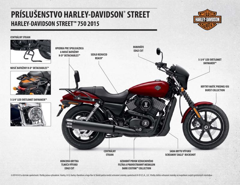 Какой мотоцикл Харлей Дэвидсон выбрать в 2023 году: несколько советов для покупателя