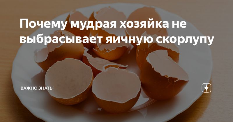 КТМ: почему это важно знать, если хочешь разобраться