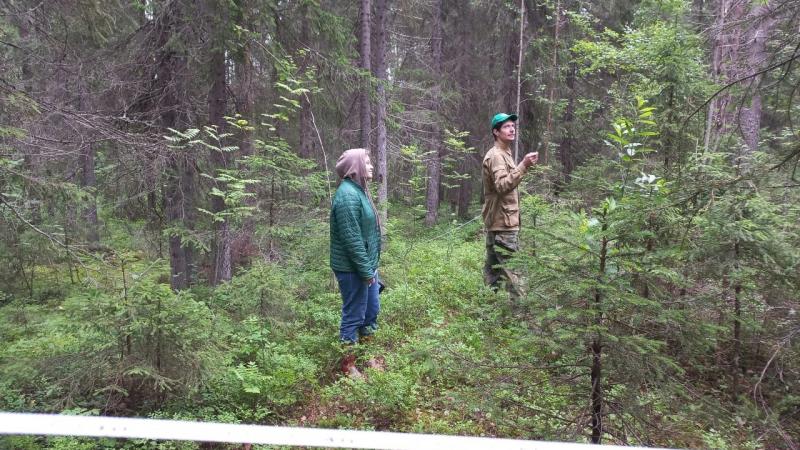 Лучшие машины на 18 лет покорят сердце. Узнайте какую выбрать