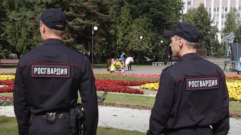 Может ли егерь останавливать и досматривать автомобиль: полный разбор юридических нюансов
