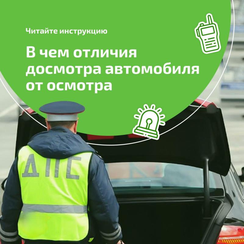 Может ли егерь останавливать и досматривать автомобиль: полный разбор юридических нюансов