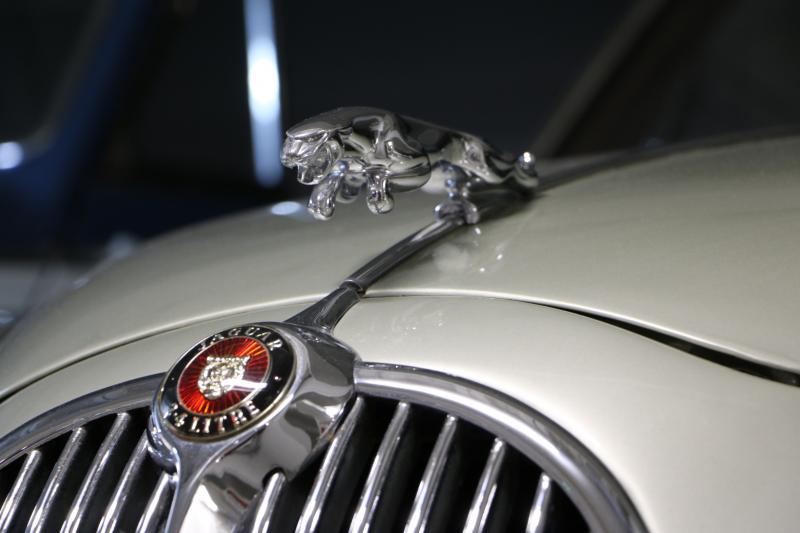 Насколько хорошо вы знаете эмблему Jaguar: узнайте увлекательные факты о логотипе легендарного автомобиля